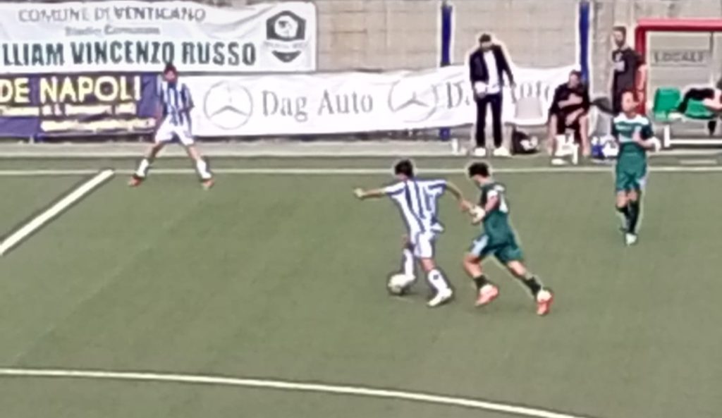 Avellino 