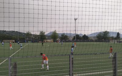 DISTINTA – Benevento-Albinoleffe (Primavera 2 – Quarti di Fin.)