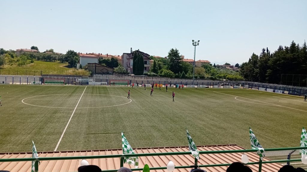 avellino