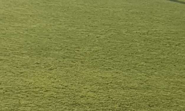 UNDER 17 – Gubbio-Campobasso, poker per gli umbri