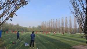 cremonese