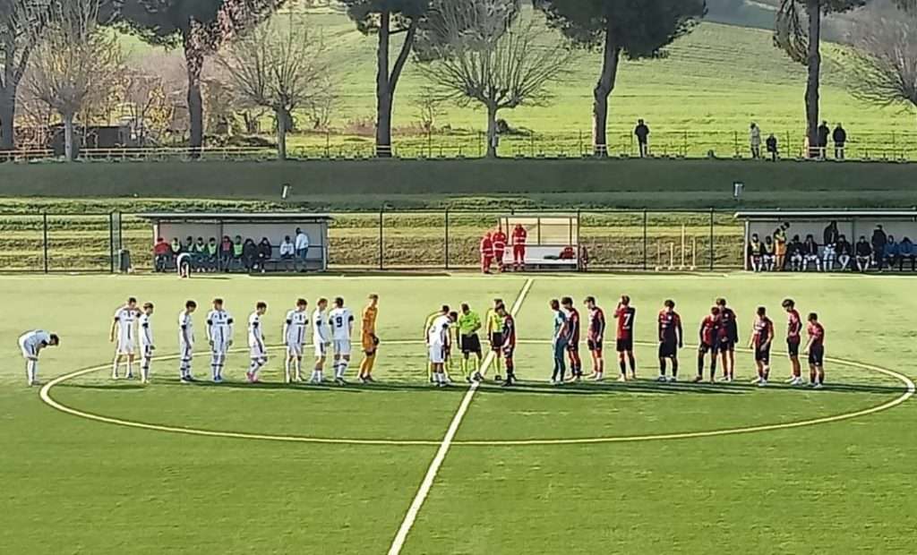 cesena