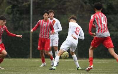 CREMONESE – Tanti rinforzi che vestiranno la maglia grigiorossa
