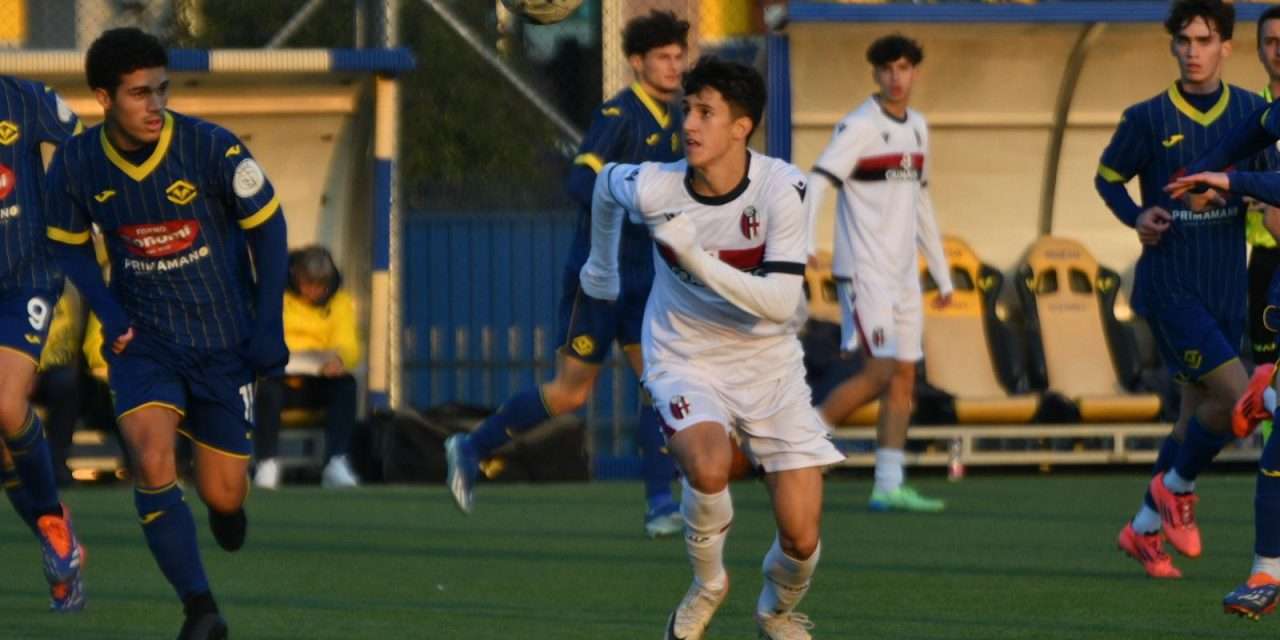 BOLOGNA (Giovanili) – Distinte del 24 novembre (U18-17)