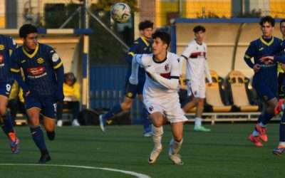 BOLOGNA (Giovanili) – Distinte del 24 novembre (U18-17)