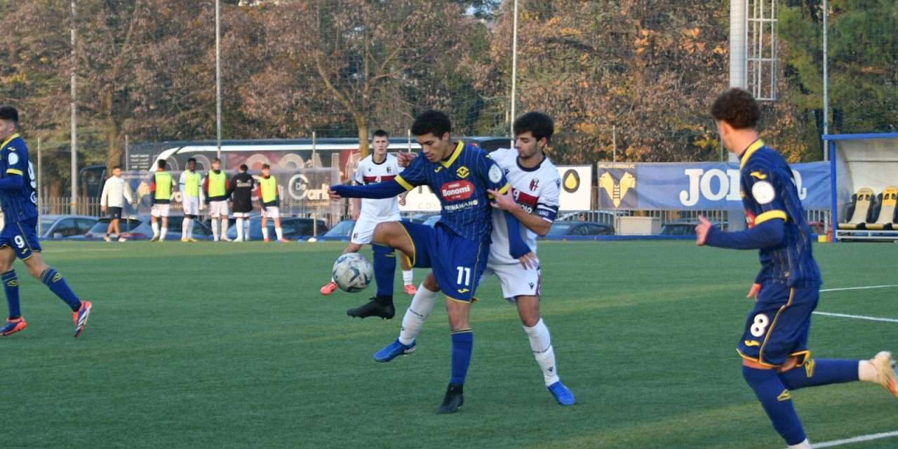 Verona-Bologna (Under 18) – Castaldo risponde a Zaba!