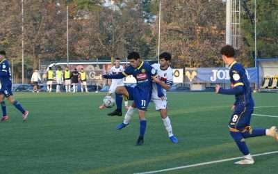 Verona-Bologna (Under 18) – Castaldo risponde a Zaba!