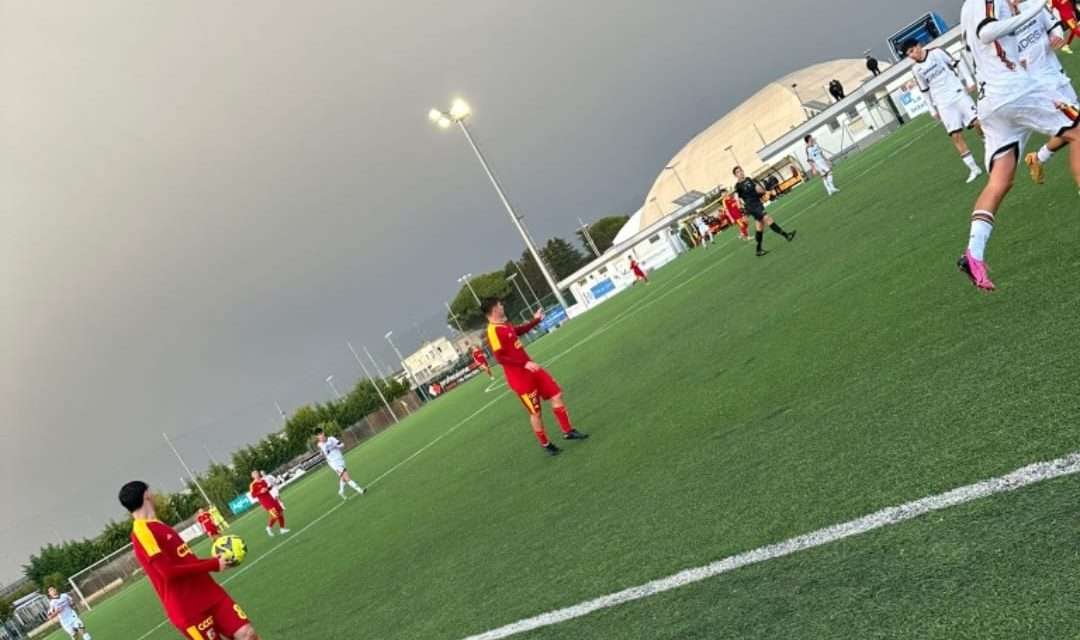 Under 17 – News su Verona-Cremonese e Lecce-Catanzaro