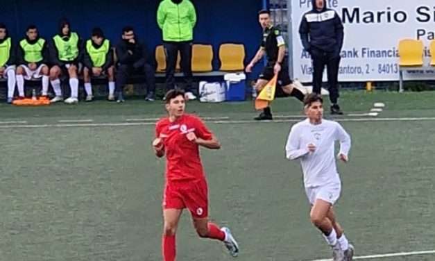 POTENZA-CAVESE (U15-17) – Distinte dei 2 match