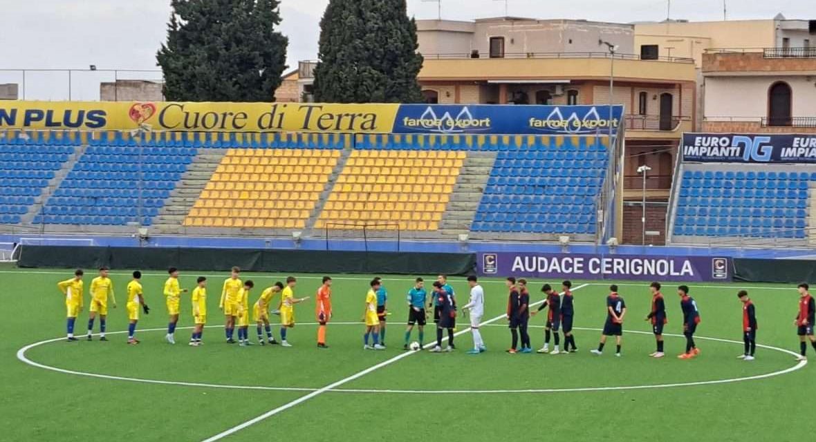 Cerignola-Campobasso (U15-U17) – Tutto sui 2 match del “Monterisi”