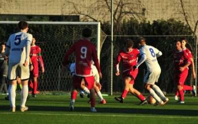 NOVARA – Dal Belgio un nuovo rinforzo