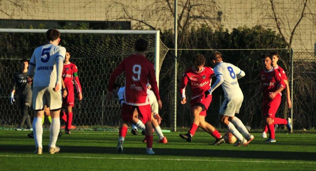 NOVARA – Dal Belgio un nuovo rinforzo