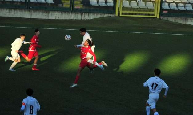 Under 16 – Pro Vercelli-Giana Erminio 3-1