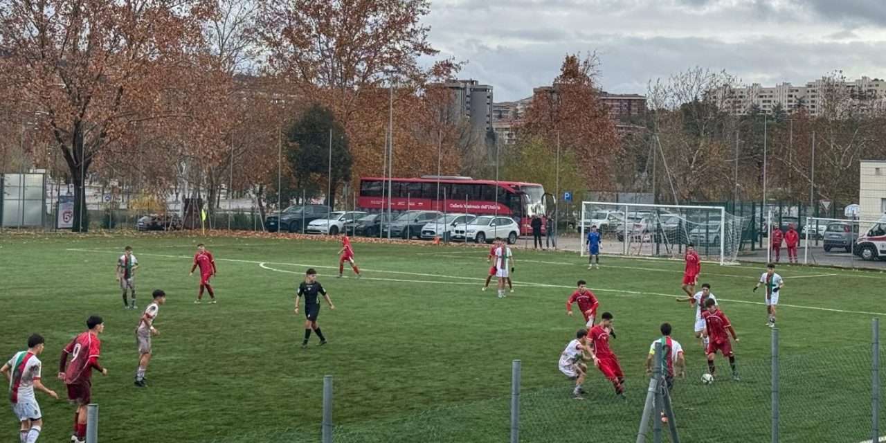 TERNANA (Giovanili) – Arrivano due “gioiellini” dalla Nuova Rieti