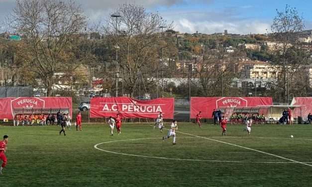 PERUGIA – Altro “tassello” per il futuro! Ecco le ultime