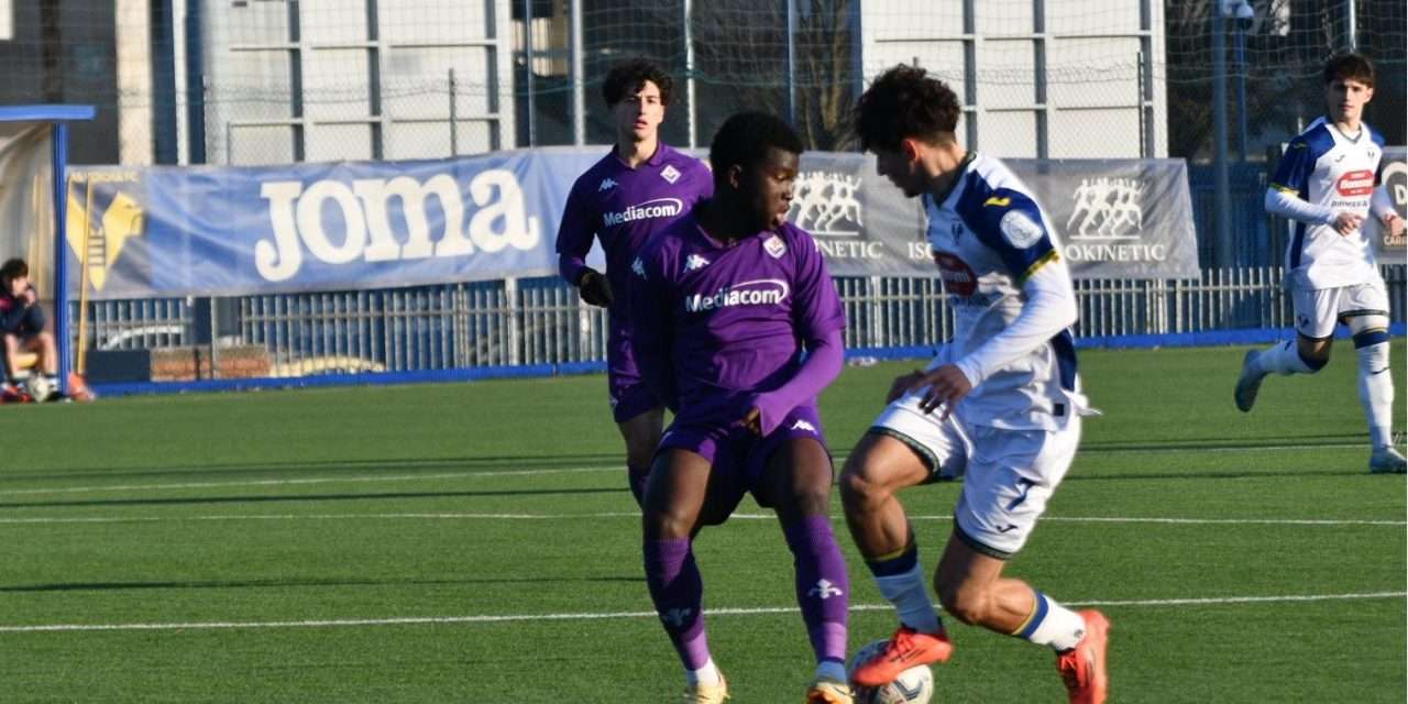 FIORENTINA – Svelati i NOMI dei mister (Primavera-U18-17-16-15)