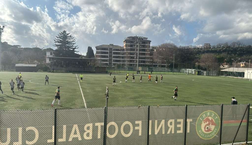 ternana