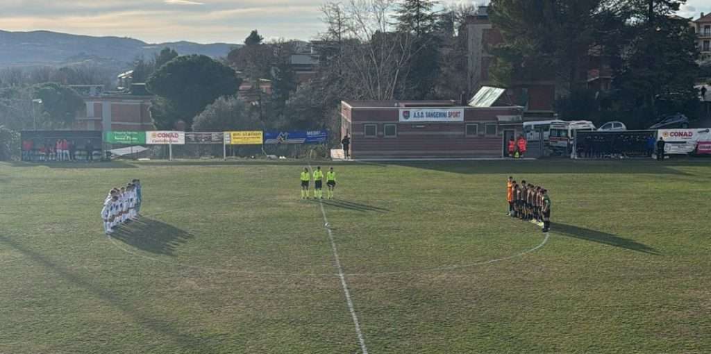 ternana