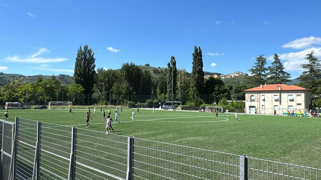 ternana