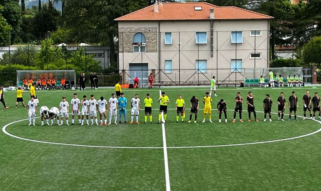 ternana