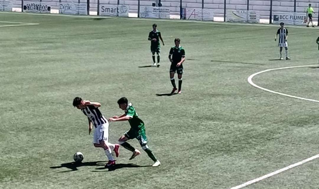 Avellino-Ascoli (U16-15), ecco le DISTINTE