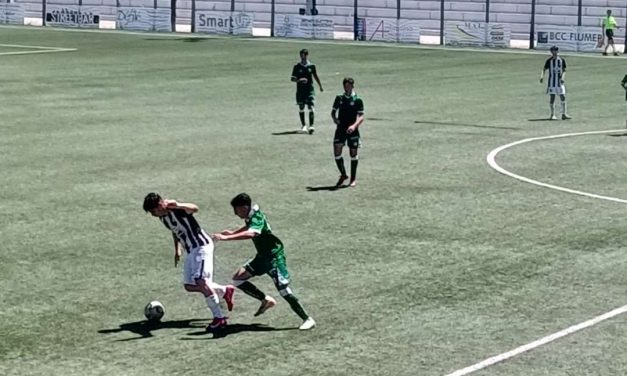 Avellino-Ascoli (U16-15), ecco le DISTINTE