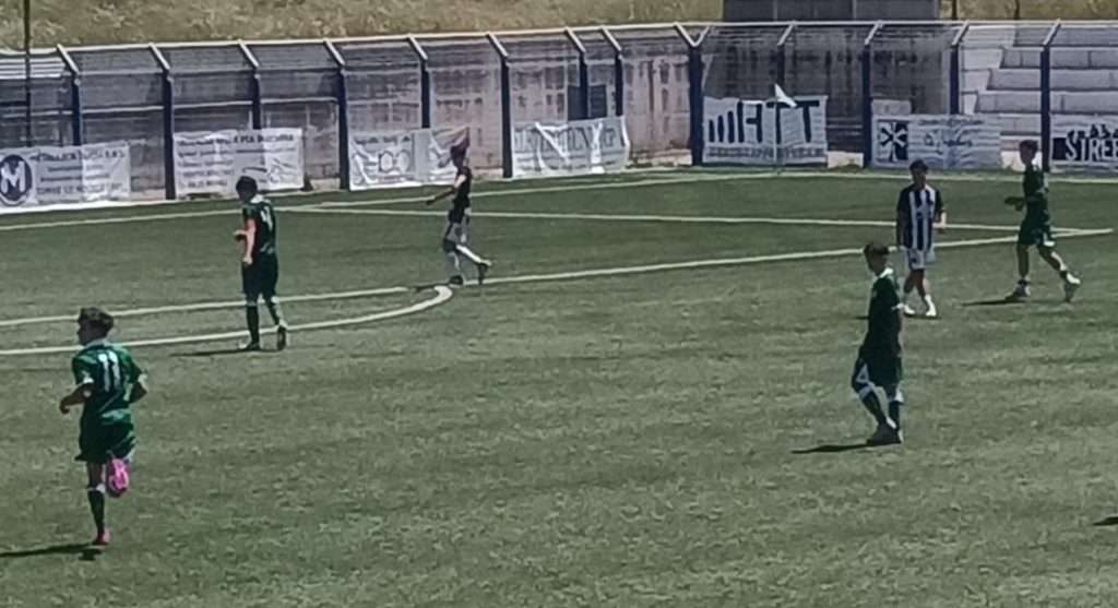 Avellino