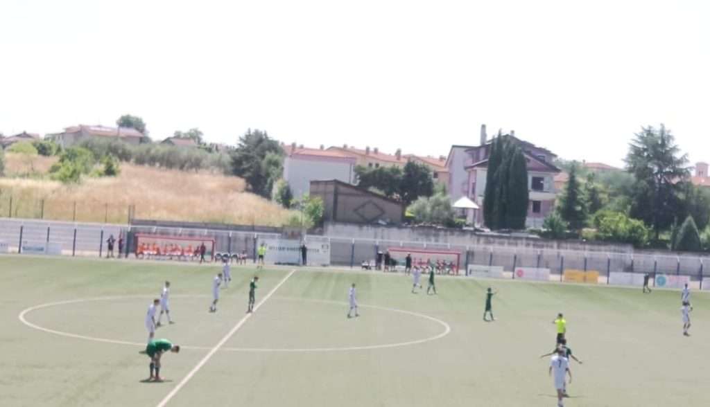 avellino