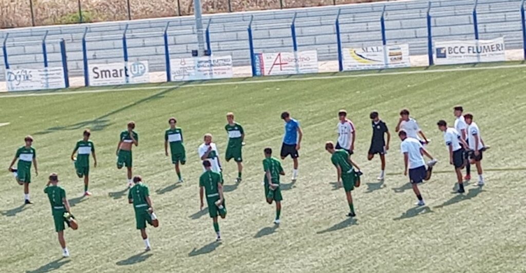 avellino