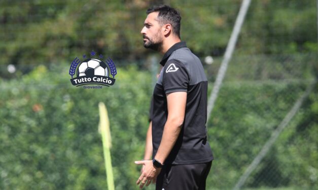 SERIE B (2026-27) – Quanto guadagnano? Ecco le cifre dei Resp. Giovanili, Mister 1^sq., Primavera, Under 18,17