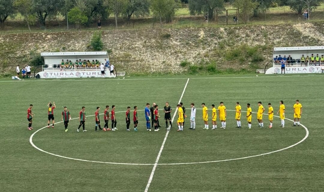 Distinta – Ascoli vs Ternana (Under 17 serie C)