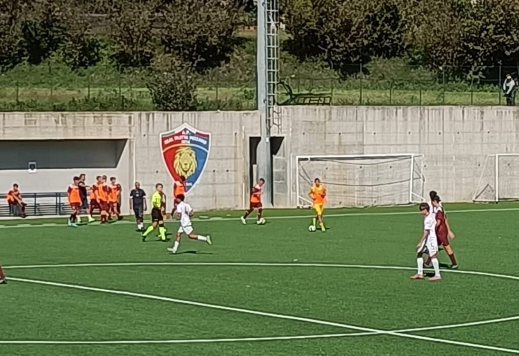 salernitana