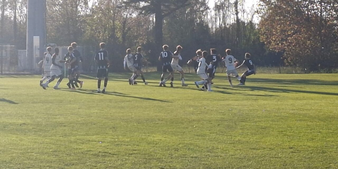 UNDER 17 – News su Parma-Cremonese e Udinese-Venezia