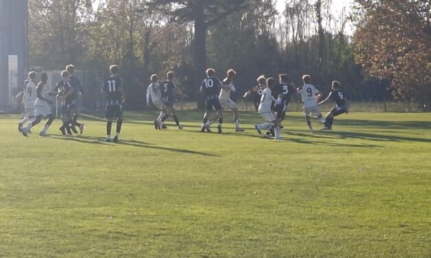 UNDER 17 – News su Parma-Cremonese e Udinese-Venezia