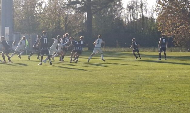 GIOVANILI VENEZIA – Risultati e marcatori dei match (U17-16-15)