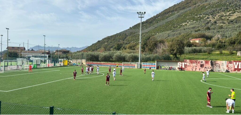 salernitana