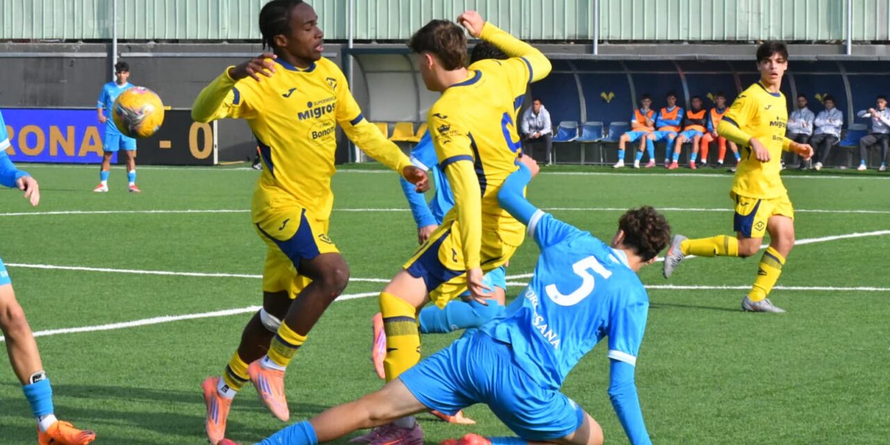 VERONA-NAPOLI (U18 Foto) – Tutto sul match in terra veneta