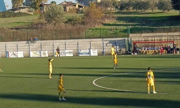 Frosinone-Avellino (U15 Distinta) – Gol decisivo di Marchetti