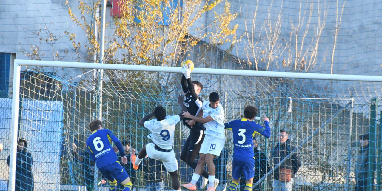 VERONA-INTER (Under 17): ecco 26 scatti del match (Fotogallery)