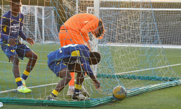 UNDER 17 – Le distinte di Bologna-Sassuolo e Verona-Inter