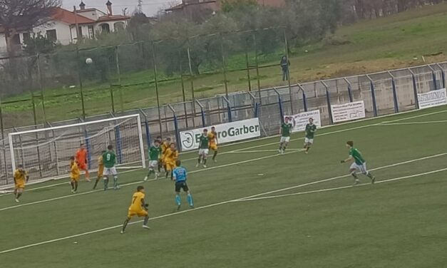 Juve Stabia-Avellino (Under 17): vittoria in scioltezza per i LUPI