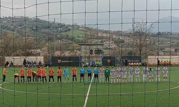 Benevento-Picerno (Ottavi U15 ): gli stregoncini sono ai Quarti