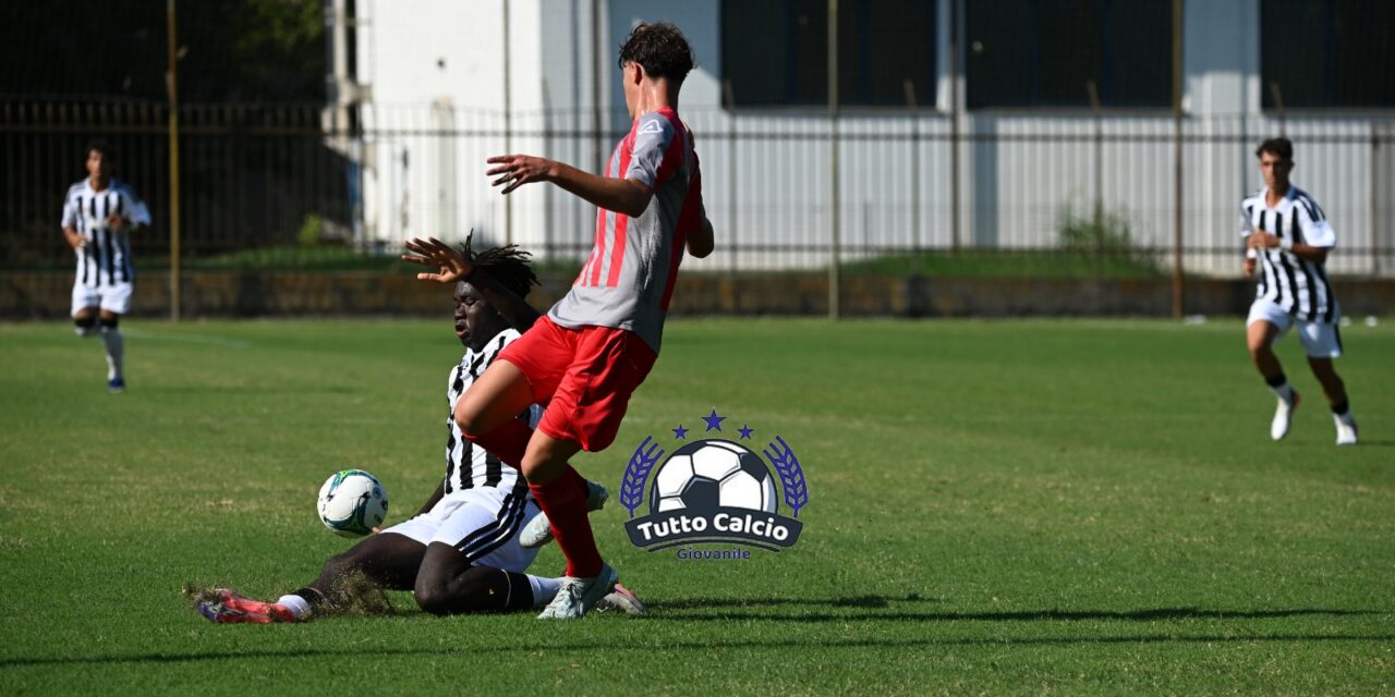 UNDER 17 – News su Cremonese-Carrarese, Modena-Bologna, Frosinone-Napoli