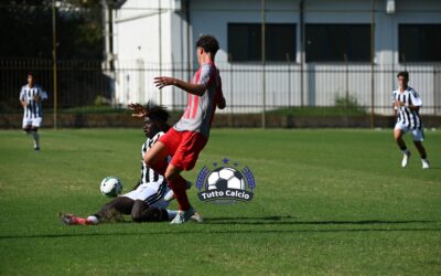 UNDER 17 – News su Cremonese-Carrarese, Modena-Bologna, Frosinone-Napoli