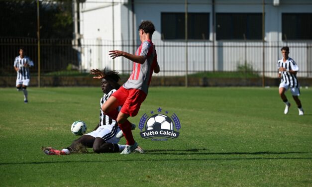 UNDER 17 – News su Cremonese-Carrarese, Modena-Bologna, Frosinone-Napoli