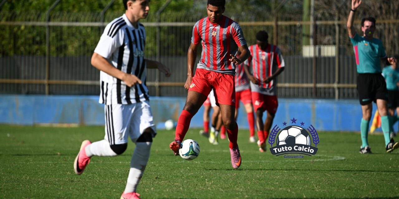 UNDER 17 – News su Cremonese-Torino e Avellino-Ascoli