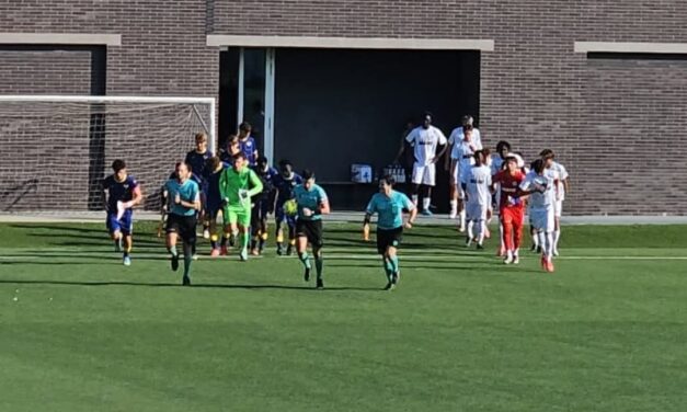 UNDER 18 A-B – News su Frosinone-Monza/Sassuolo-Verona e Bologna-Parma